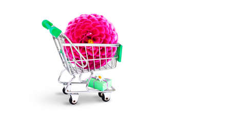 Concept for flower delivery, valentines day, mothers day or international womens dayの写真素材