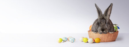 Easter composition with rabbit. Festive decoration. Happy Easter.