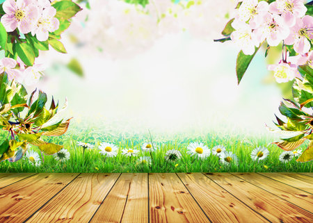 Beautiful nature scene with blooming flowers tree.