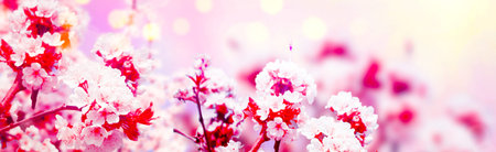 Beautiful nature scene with blooming flowers tree.