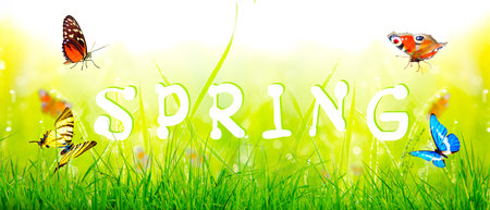 Decorative inscription with letters. Creative spring concept.