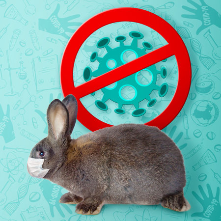 Easter composition with Coronavirus theme. Easter quarantine