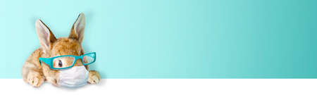 Easter composition with Coronavirus theme. Easter quarantineの写真素材