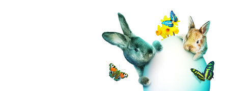 Easter composition with rabbit. Festive decoration. Happy Easter.の写真素材