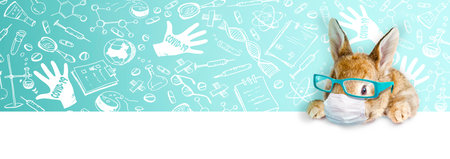 Easter composition with Coronavirus theme. Easter quarantineの写真素材