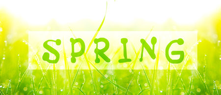 Decorative inscription with letters. Creative spring concept.