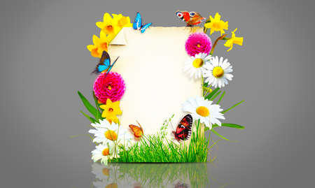 Creative layout with flowers and butterflies. Spring minimal concept.の写真素材