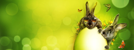 Easter composition with rabbit. Festive decoration. Happy Easter.