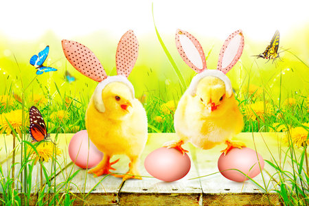 An Easter decoration with chicken. Easter holiday concept with cute chick.