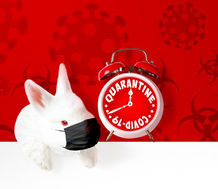 Easter composition with Coronavirus theme. Easter quarantine