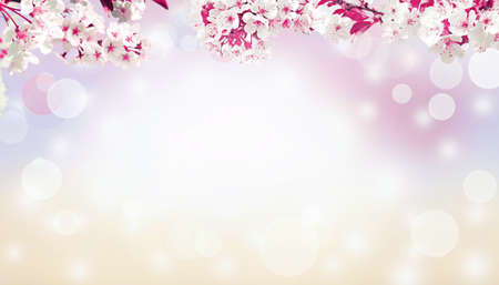 Spring banner background with copy space.の写真素材