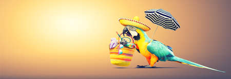 Parrot on sandy beach near sea. Beach holiday background.の写真素材