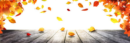 Beautiful autumn background with yellow and red leaves.