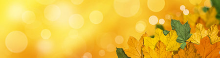 Beautiful autumn background with yellow and red leaves.