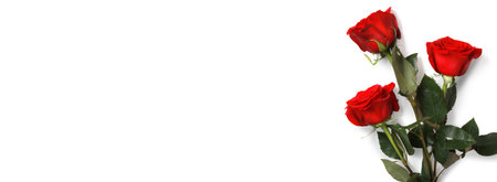 Valentine's Day background. Love and Valentine's Day concept.の写真素材