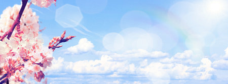 Spring banner background with copy space.の写真素材