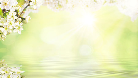 Spring banner background with copy space.