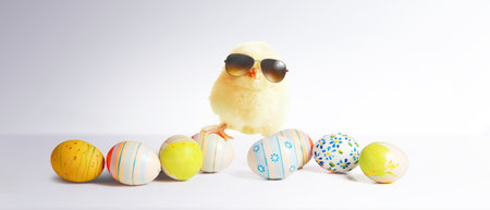 An Easter decoration with cool chicken. Easter holiday concept.の写真素材