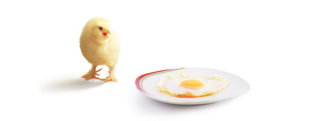 An Easter decoration with Chicken. Easter holiday concept with cute chick.