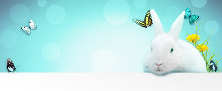 Easter composition with rabbit. Festive decoration. Happy Easter.