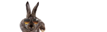 Easter composition with rabbit. Festive decoration. Happy Easter.の写真素材