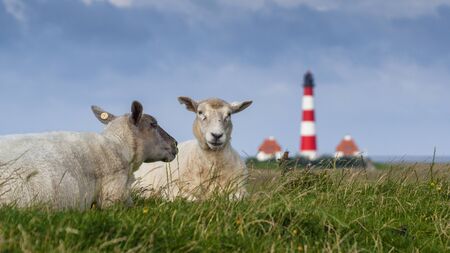 Westerhever Lighthouseの写真素材