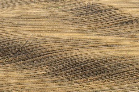 Beautiful landscape in Tuscany, Italyの写真素材