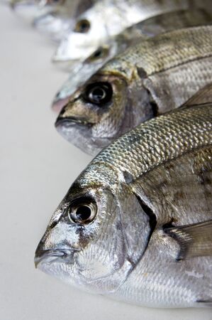 Fresh fishes that have been just fished, in studioの写真素材