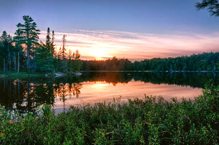 Pink sunset in a provincial parkの写真素材