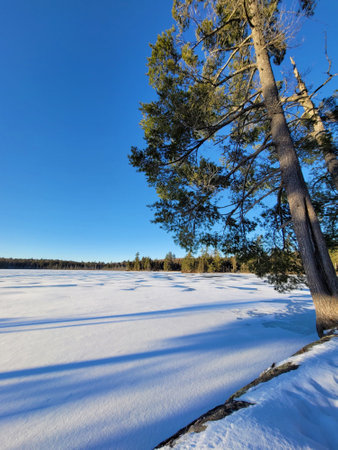 Northern canada frozen lakeの写真素材