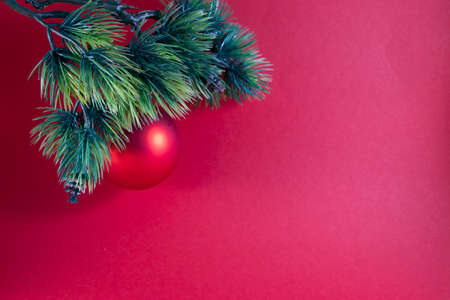 Red background with a branch of a Christmas tree. Happy New Year and Merry Christmas.の写真素材