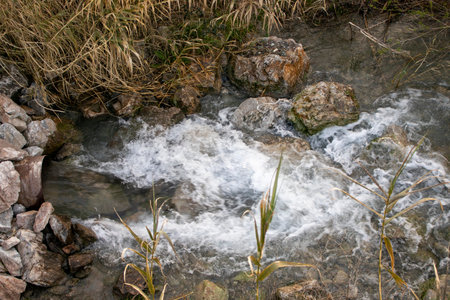 Emissions of Dirty Waste Water from a Pipe Outgoing First into the River, Then into the Ocean....