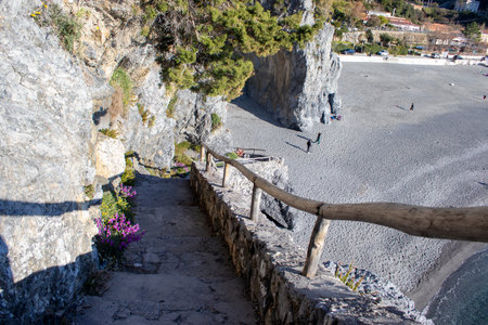 Flowers and Rocks covered with Flowers under Sunlight and Blue Sky on the Background of the Sea....