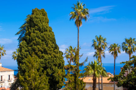 Calabrian coast in the city of Belvedere. Scenic travel destination.の写真素材