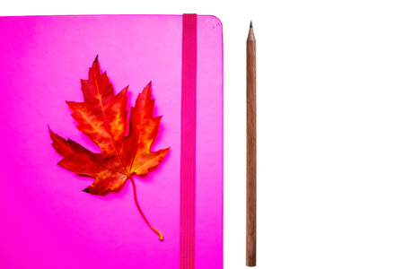 Pink Notepad With Pencil Isolated on White Background.の写真素材