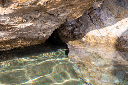 The Sea Urchin Hid Among the Stones in the Sea. Clear, Clean Water, Underwater World.の写真素材