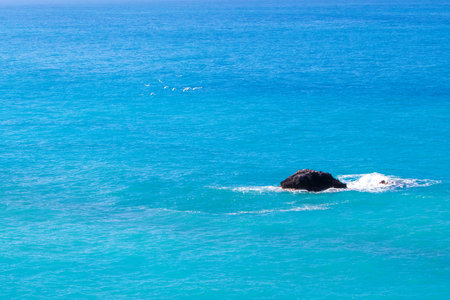 Seagulls Flying in the Sky Over the Sea. Flock of Seagulls Flying Over the Sea with a Background of Blue sky. Perfect Sky and Water of Ocean.の写真素材