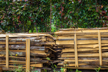 firewood. Stack of Wood. Heaps of Firewood Near a Natural Wood Wood Processing Factory.の写真素材