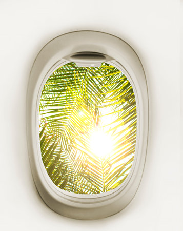 View from the Airplane Window to the Palm Branches with Sun Glare. View from the Airplane Window....
