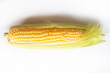 Fresh Corn Cob. Corn Ears With Leaves on White Background.の写真素材