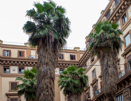 Naples. Architecture of Naples Naples.の写真素材