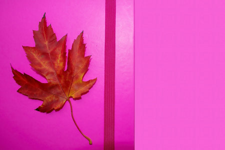 Creative high angle photo of a colorful notepad and with an orange maple leaf.With space for copy...