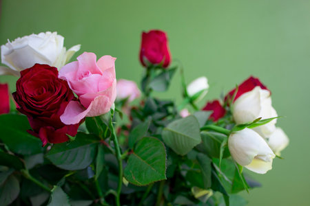 Bouquet of flowers with rose leaves. Copy space for text.の写真素材