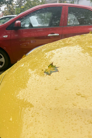 Yellow Car Adorned With a Green Leaf Under Rain in a Parking Area Surrounded by Red Vehicleの写真素材