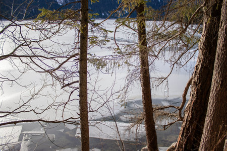Frozen Lake Surrounded by Evergreen Trees in Winter Offers Serene Nature View and Peaceful...