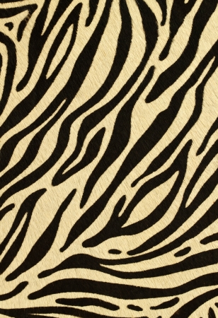 fake leopard skin that made from leatherの写真素材