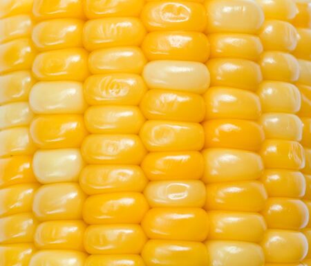 close up of a boiled cornの写真素材