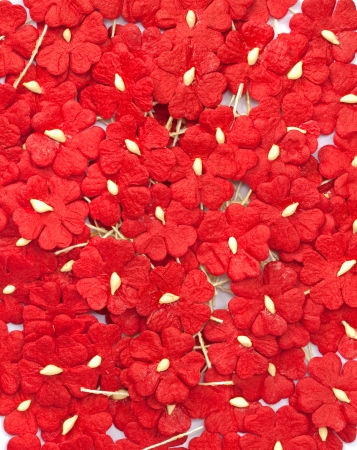 group of red handicraft paper flowerの写真素材