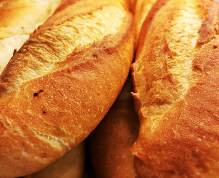 breadの素材