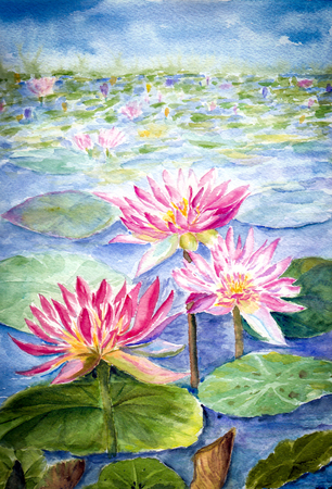 water color painting of lotus flowerの写真素材